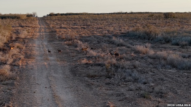 Image 26 of 38 For 5518 County Road 310