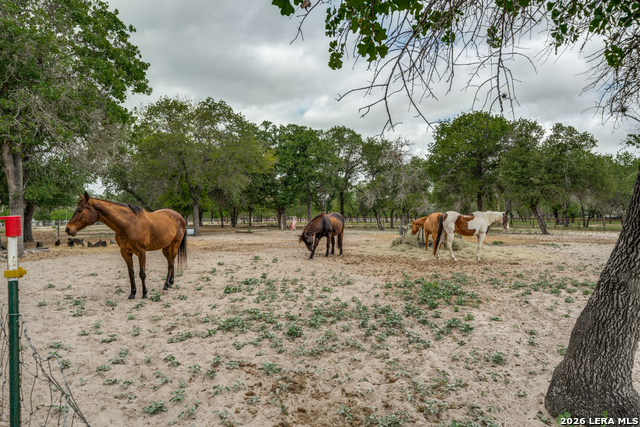 Image 20 of 33 For 1855 Burr Oak Ln