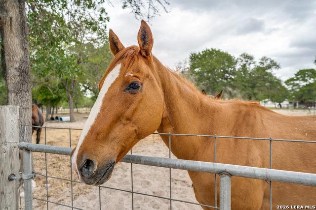 Image 25 of 33 For 1855 Burr Oak Ln
