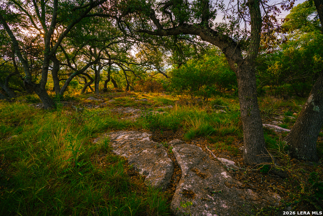 Details for 000 Rambling Oaks Ranch, Spring Branch, TX 78070