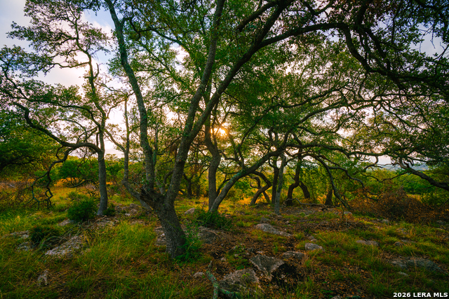 Image 2 of 6 For 000 Rambling Oaks Ranch