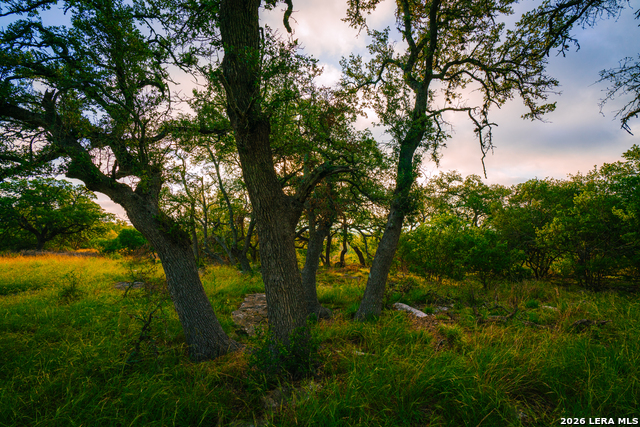 Image 3 of 6 For 000 Rambling Oaks Ranch