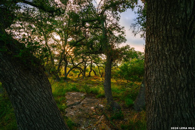 Image 4 of 6 For 000 Rambling Oaks Ranch