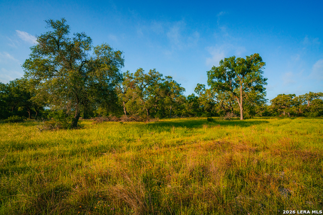 Image 6 of 6 For 000 Rambling Oaks Ranch
