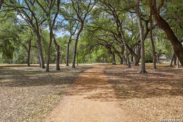 Image 41 of 45 For 9025 Peridot