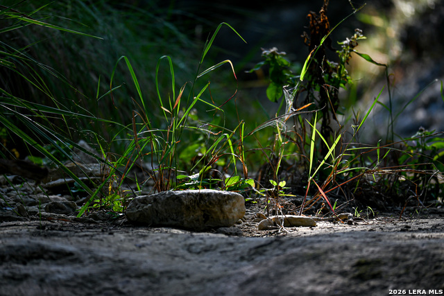 Image 16 of 50 For 417 Sparkling Springs Dr