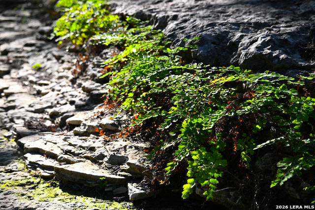 Image 17 of 50 For 417 Sparkling Springs Dr