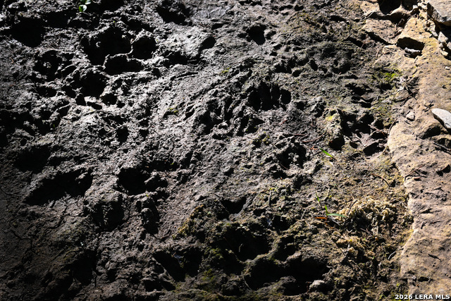 Image 18 of 50 For 417 Sparkling Springs Dr