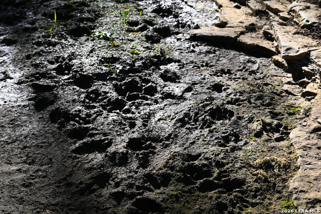 Image 19 of 50 For 417 Sparkling Springs Dr