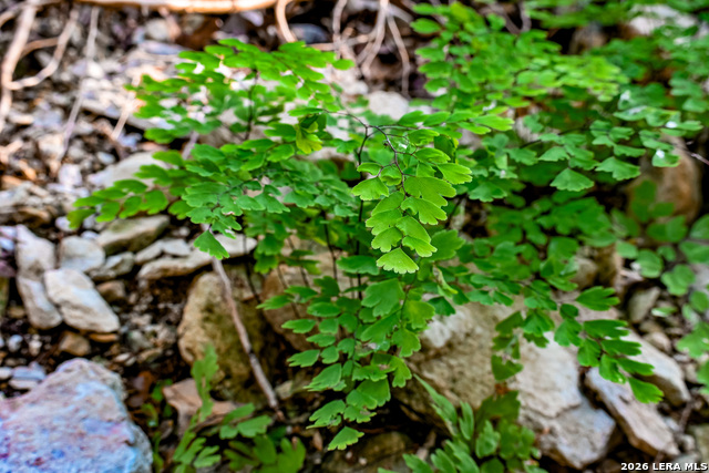 Image 20 of 50 For 417 Sparkling Springs Dr