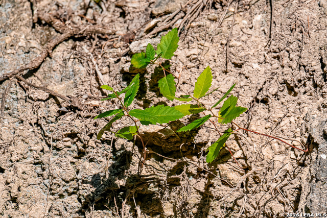 Image 22 of 50 For 417 Sparkling Springs Dr