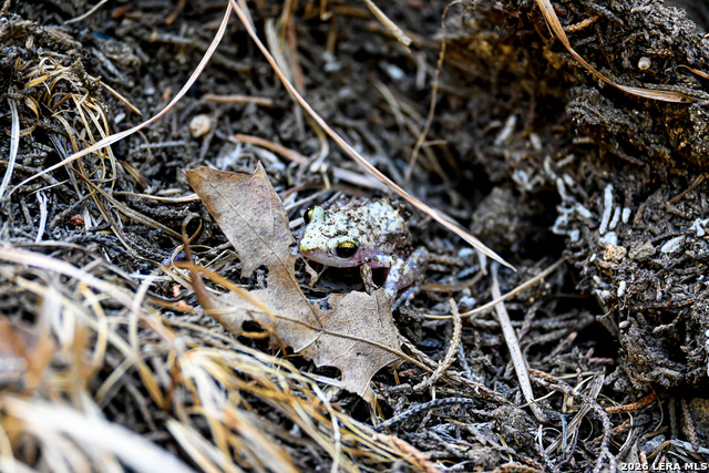 Image 23 of 50 For 417 Sparkling Springs Dr