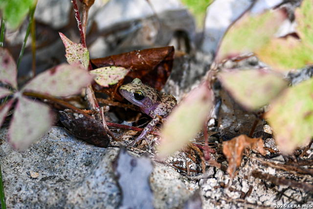 Image 24 of 50 For 417 Sparkling Springs Dr