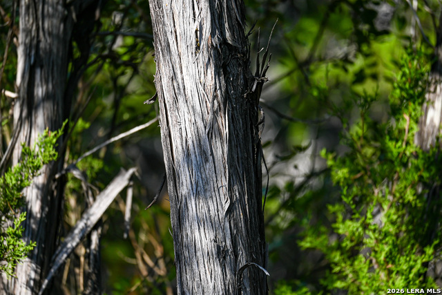 Image 26 of 50 For 417 Sparkling Springs Dr