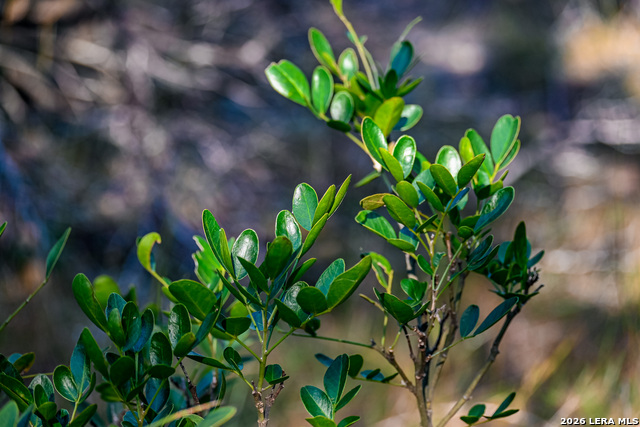 Image 29 of 50 For 417 Sparkling Springs Dr