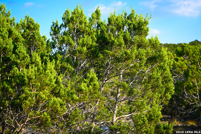 Image 31 of 50 For 417 Sparkling Springs Dr