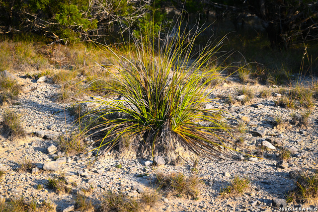 Image 32 of 50 For 417 Sparkling Springs Dr