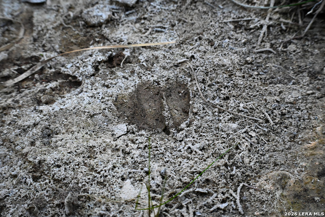 Image 34 of 50 For 417 Sparkling Springs Dr