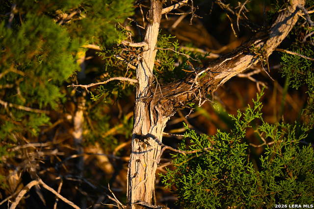 Image 36 of 50 For 417 Sparkling Springs Dr