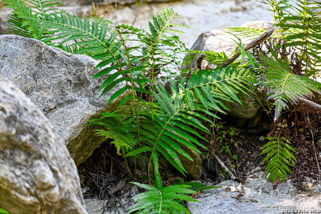 Image 38 of 50 For 417 Sparkling Springs Dr