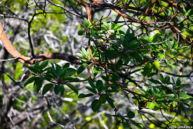 Image 41 of 50 For 417 Sparkling Springs Dr