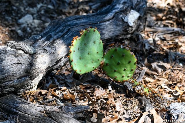 Image 43 of 50 For 417 Sparkling Springs Dr