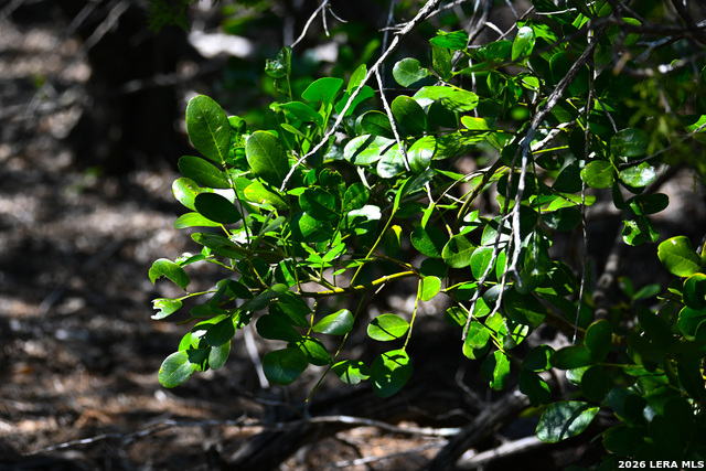 Image 44 of 50 For 417 Sparkling Springs Dr