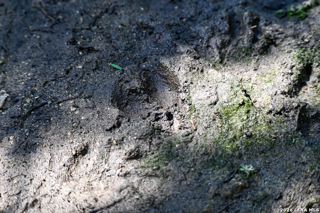 Image 47 of 50 For 417 Sparkling Springs Dr