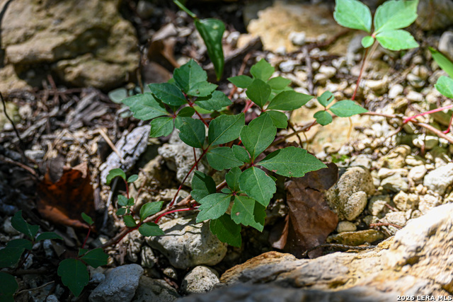 Image 48 of 50 For 417 Sparkling Springs Dr