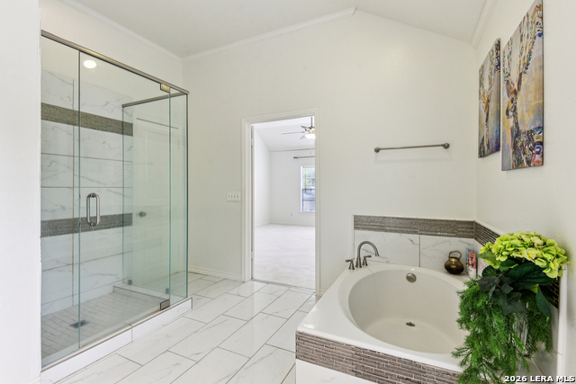 Image 43 of 50 For 2423 Brighton Oaks