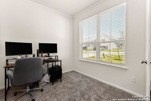 Image 9 of 26 For 4012 Wild Bloom