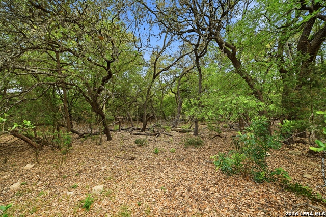 Image 4 of 53 For 15 Villa Verde