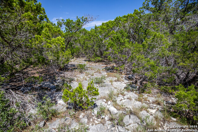 Image 25 of 46 For 0 Lake View Trl