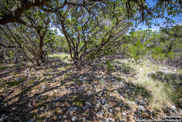 Image 38 of 46 For 0 Lake View Trl