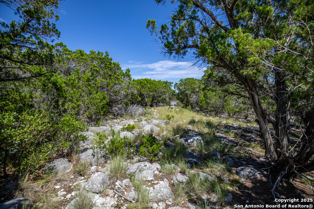 Image 40 of 46 For 0 Lake View Trl