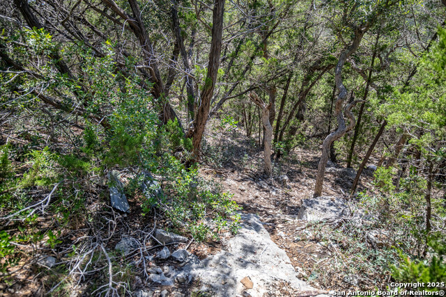 Image 41 of 46 For 0 Lake View Trl