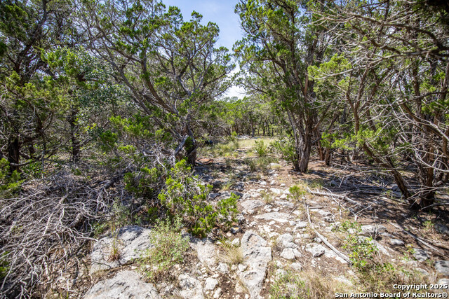 Image 44 of 46 For 0 Lake View Trl