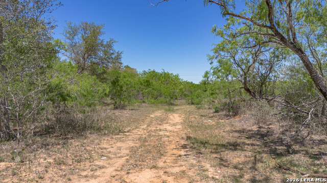 Image 5 of 24 For Tbd Fm 477  