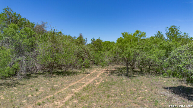 Image 7 of 24 For Tbd Fm 477  