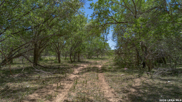 Image 8 of 24 For Tbd Fm 477  