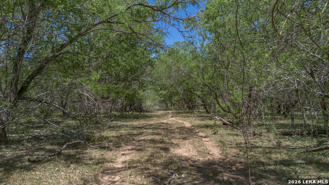 Image 9 of 24 For Tbd Fm 477  