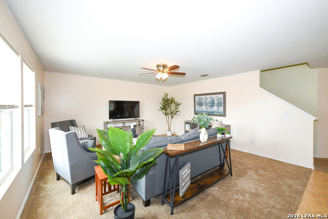 Image 6 of 24 For 822 Western Star