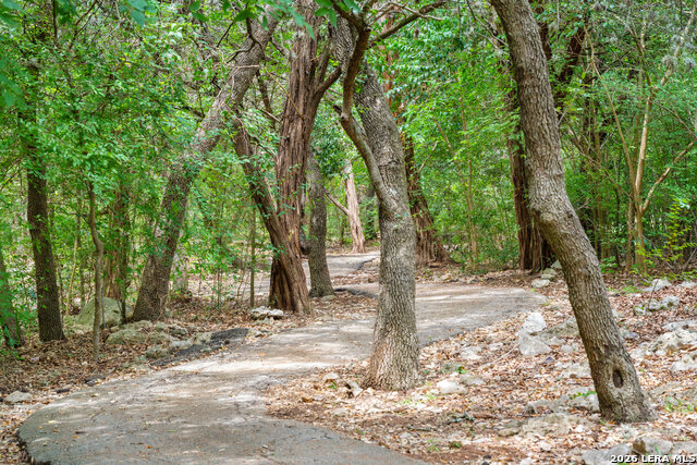 Image 83 of 98 For 17334 Fountain Mist