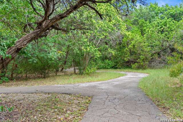 Image 84 of 98 For 17334 Fountain Mist