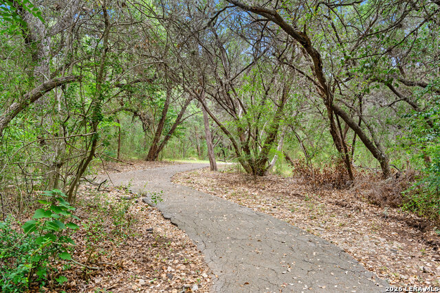 Image 86 of 98 For 17334 Fountain Mist