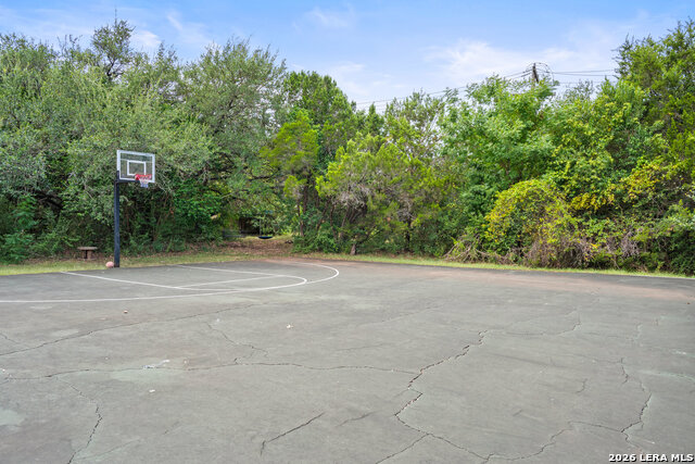 Image 87 of 98 For 17334 Fountain Mist