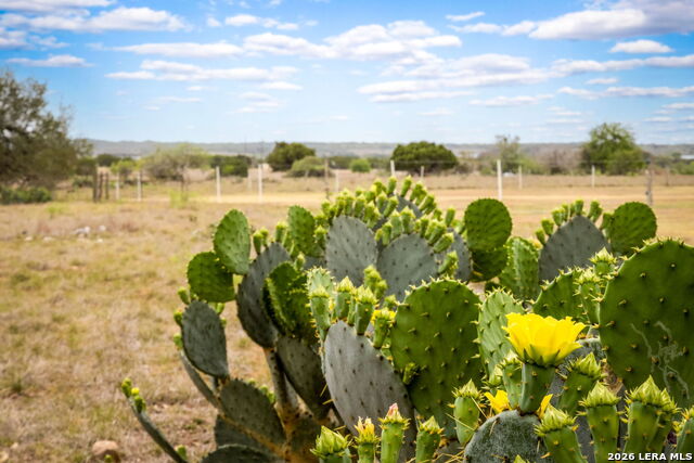 Image 11 of 44 For 155 Maverick