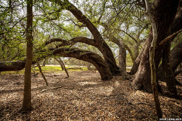 Image 34 of 44 For 155 Maverick