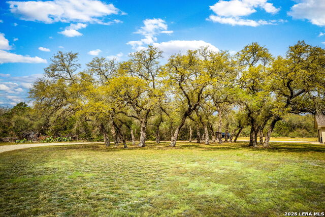 Image 8 of 44 For 155 Maverick