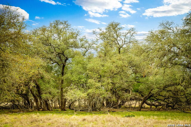 Image 9 of 44 For 155 Maverick